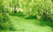 推動(dòng)產(chǎn)業(yè)園區(qū)綠色健康發(fā)展 提升資源利用效率